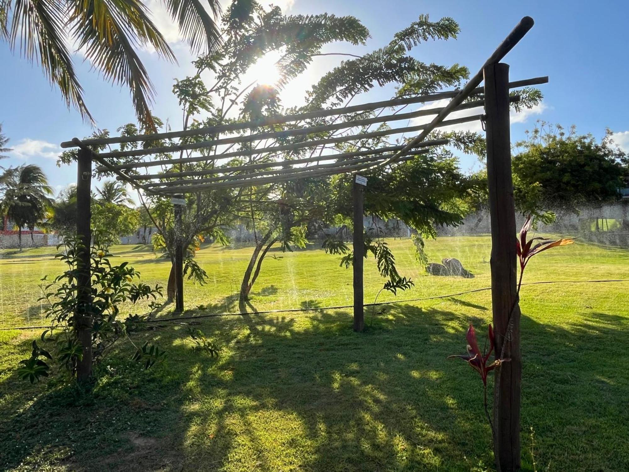 Pipa Paradise Piscinas Apartamento